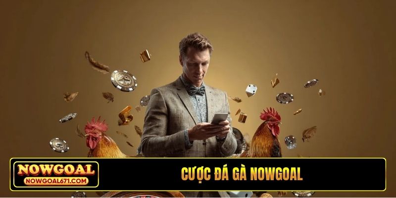 Cược đá gà Nowgoal