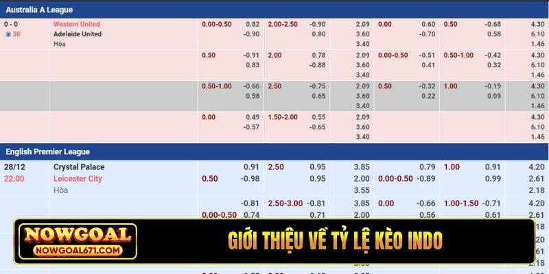 Giới thiệu về tỷ lệ kèo Indo